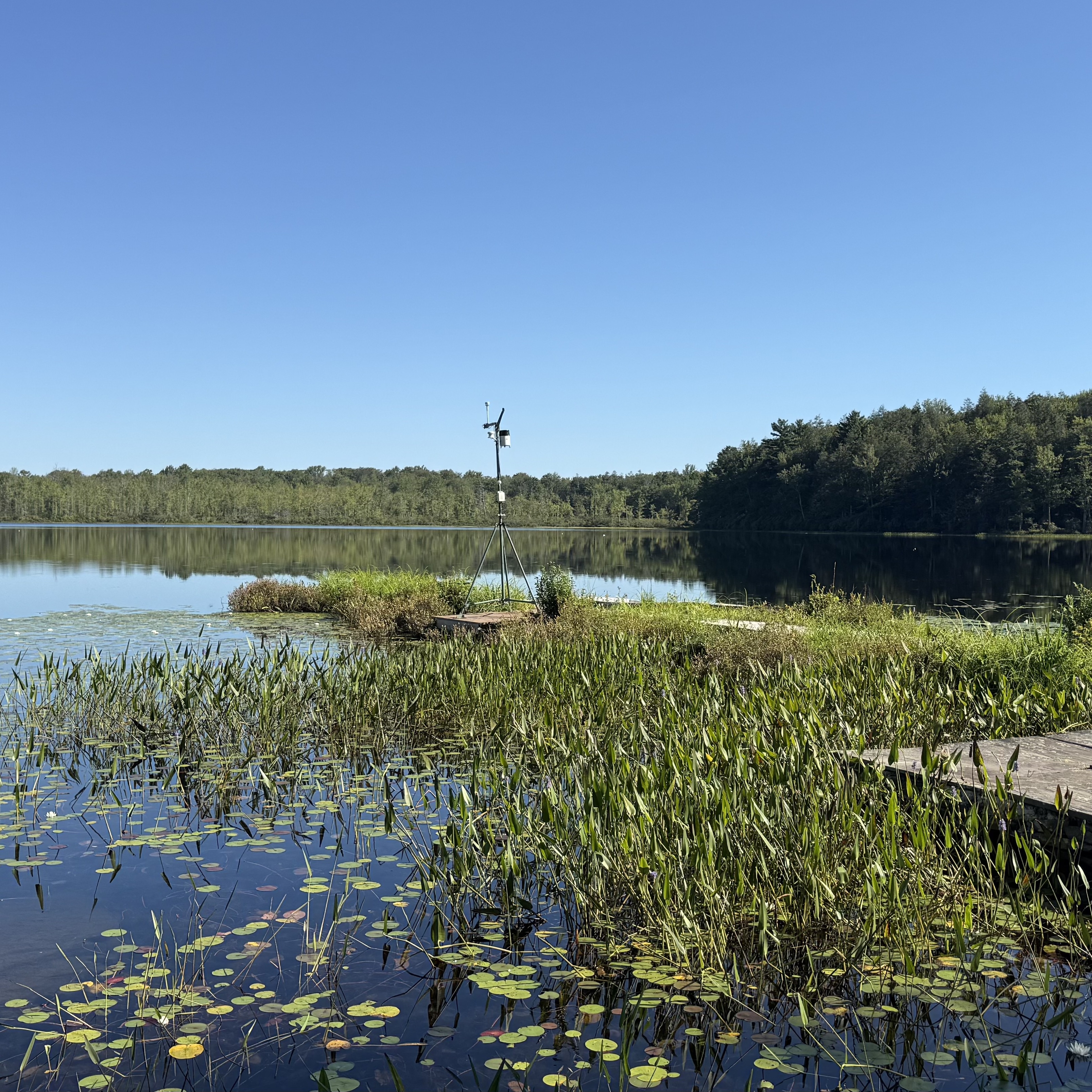 Lake Appreciation Month Hike & Paddle - logo